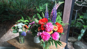 Flowers, Gabriola Island Show 2016