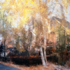 Birch Tree in Autumn. Oil on panel, 48” x 48”, 2026 | $6,800