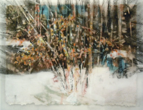 Winter Bush, Banff. Charcoal on vellum over acrylic on paper, 5" x 6.5", 2010 SOLD
