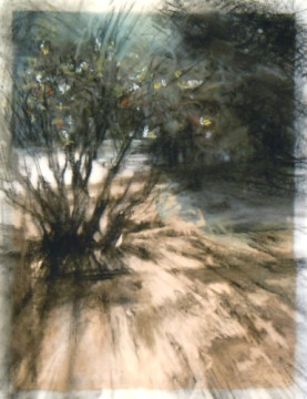 Winter shadows, Banff. Charcoal on vellum over acrylic on paper, 5" x 6.5", 2010 SOLD