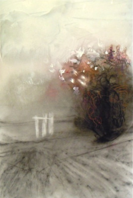 Ghost Birds. Charcoal, oil and watercolour pencil on mylar, 6" x 9", 2010  SOLD