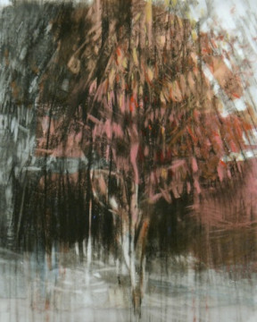 Raining Tree. Charcoal on vellum over acrylic on paper, 7.5" x 6", 2013 | SOLD